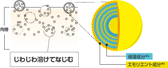 ナノカプセルの図