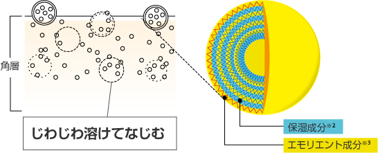 ナノカプセルの図