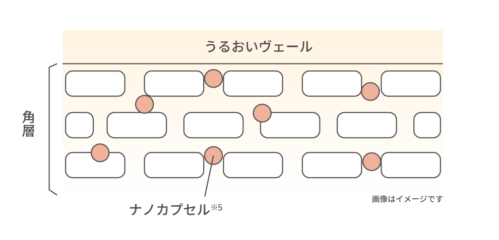 うるおいヴェールの図