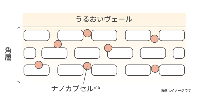 うるおいヴェールの図