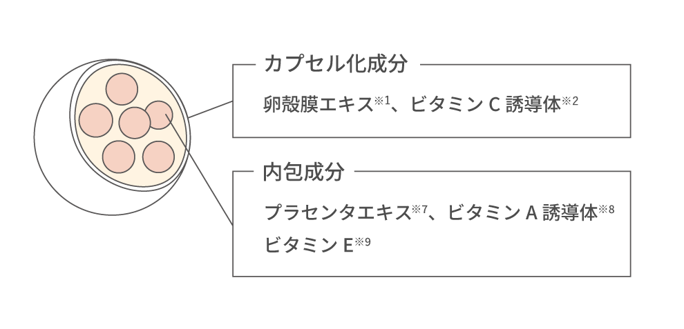 ナノカプセルの図