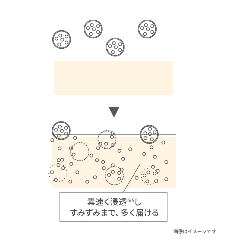 浸透図